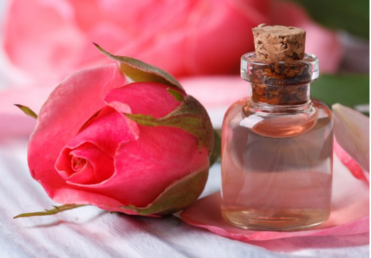 Rose essential oil for hair